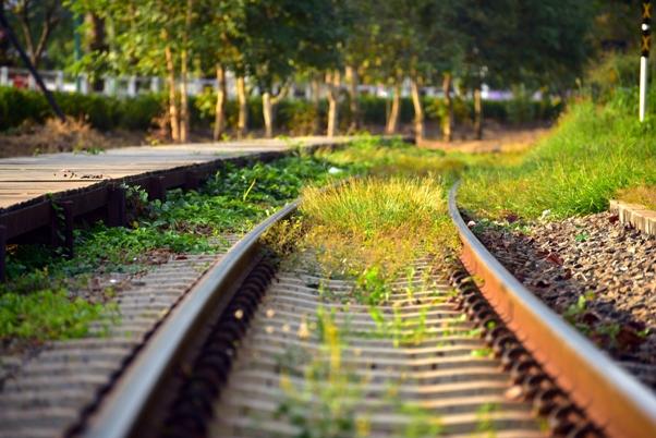 Railway ecological impact assessment