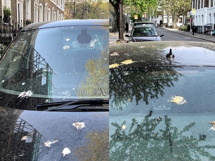 New tests at Ford assess the resistance of painted surfaces to bird droppings