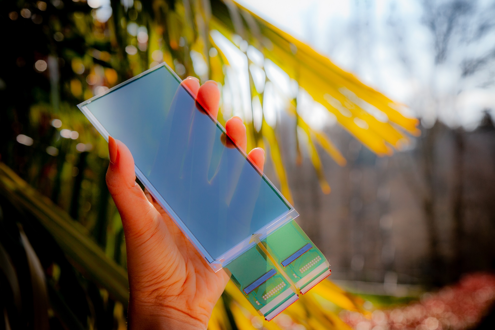 Thin film multi-fingerprint optical sensor is able to detect prints across the entire surface of a smartphone screen