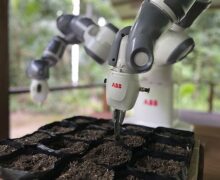 YuMi cobot manages to autonomously plant 640 seed bags per day